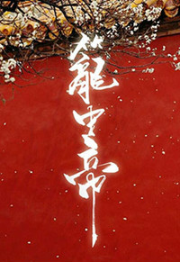 锁帝翎结局